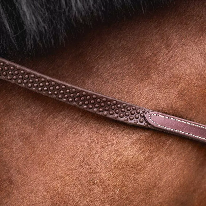 Devoucoux Biothane Reins