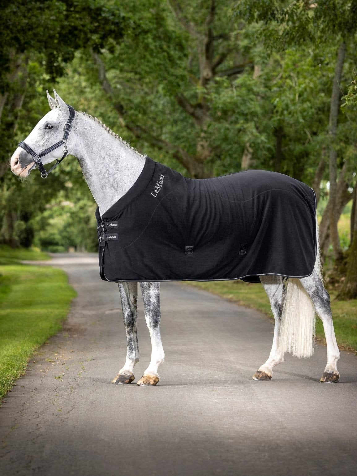 LeMieux Kudos Fleece Cooler Rug