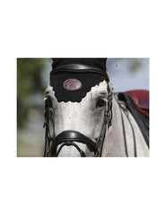 Jumpin Bruxelles Bridle - One Collection
