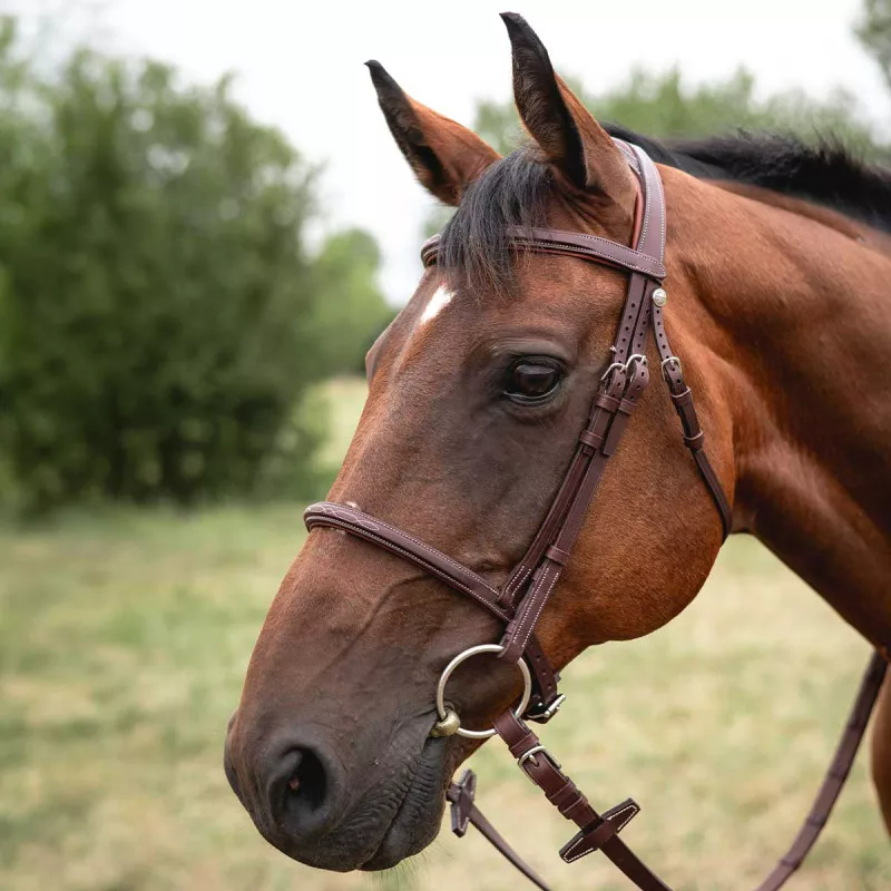 Devoucoux Chiberta Bridle Wide Headpiece