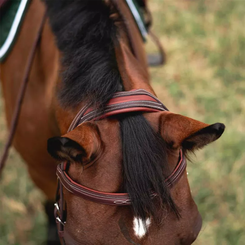 Devoucoux Chiberta Bridle Wide Headpiece