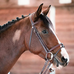 DEVOUCOUX Chiberta Bridle