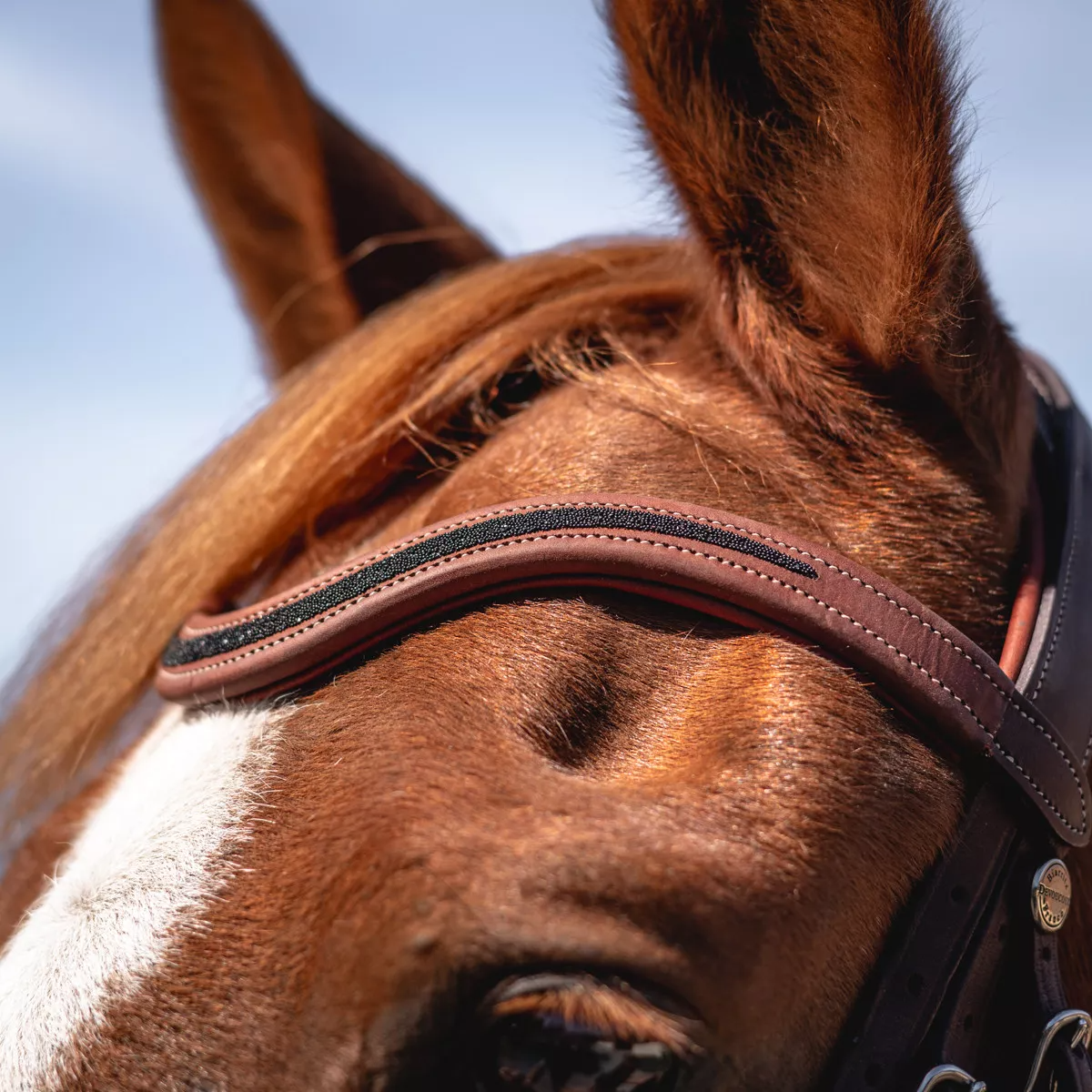 Devoucoux Crystal Makila browband