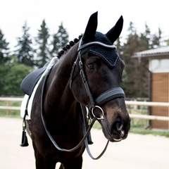 Devoucoux Crystal Makila browband