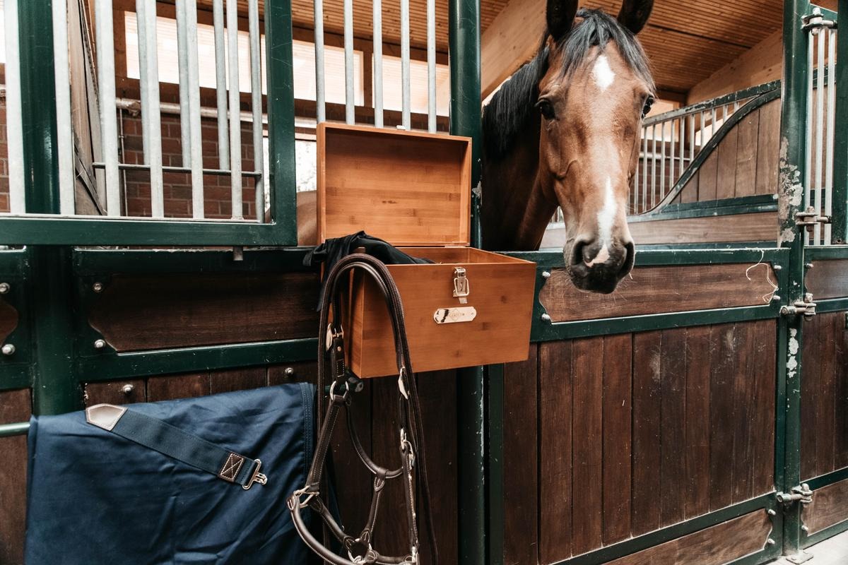 Kentucky Horsewear Stable Tack Box