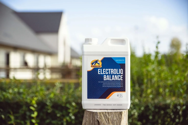 Cavalor Electroliq Balance