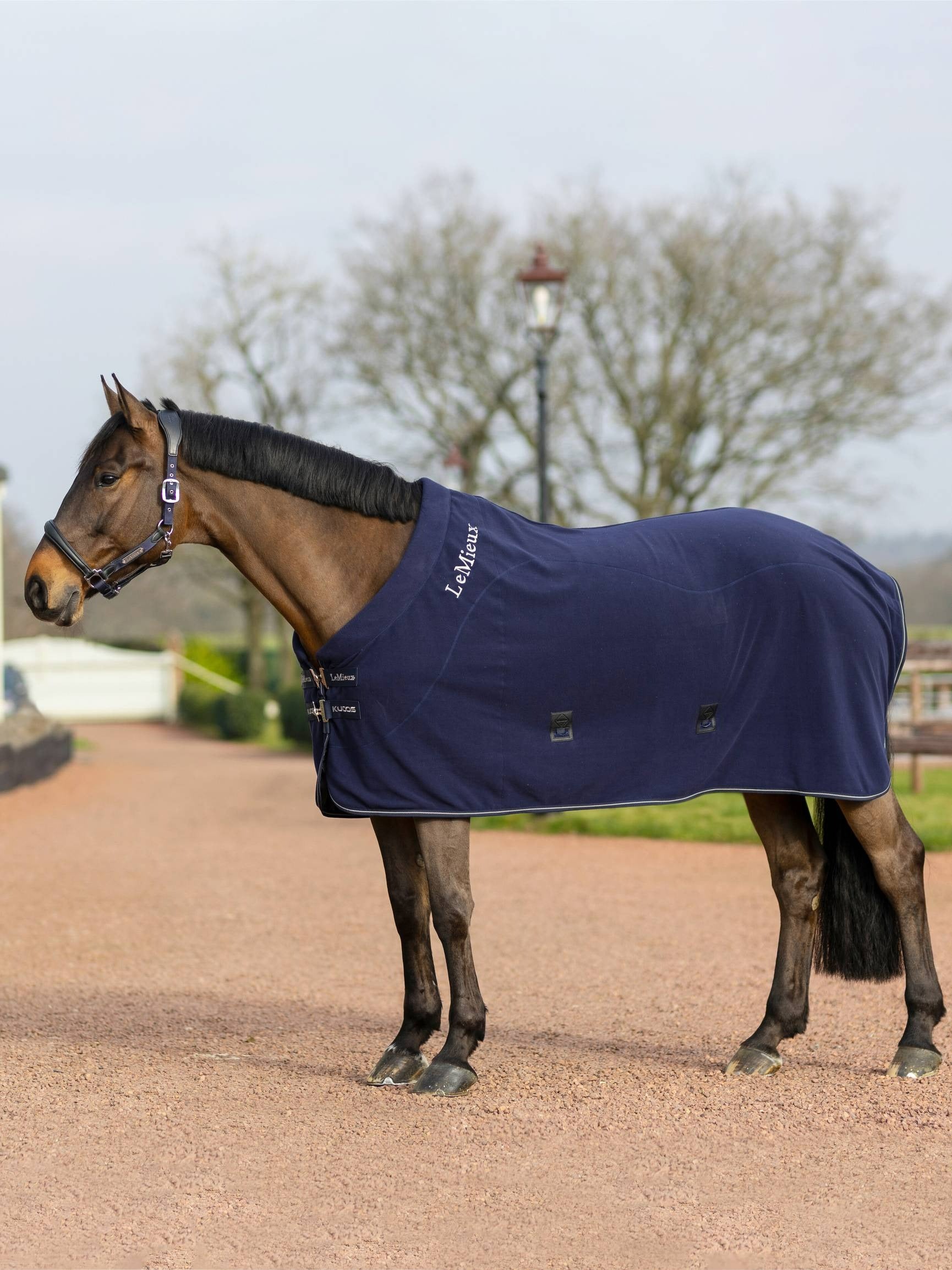 LeMieux Kudos Fleece Cooler Rug