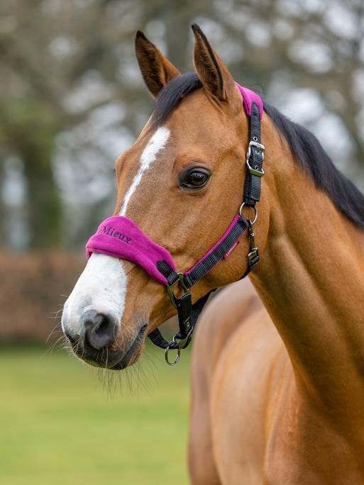 Lemieux Vogue Headcollar & Leadrope