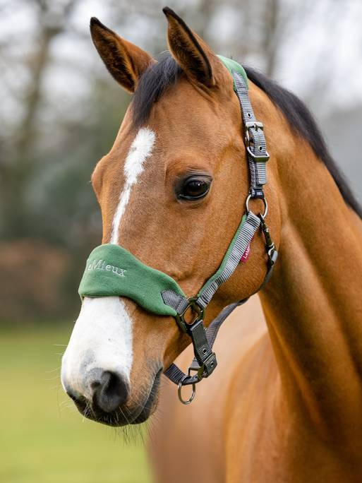 Lemieux Vogue Headcollar & Leadrope