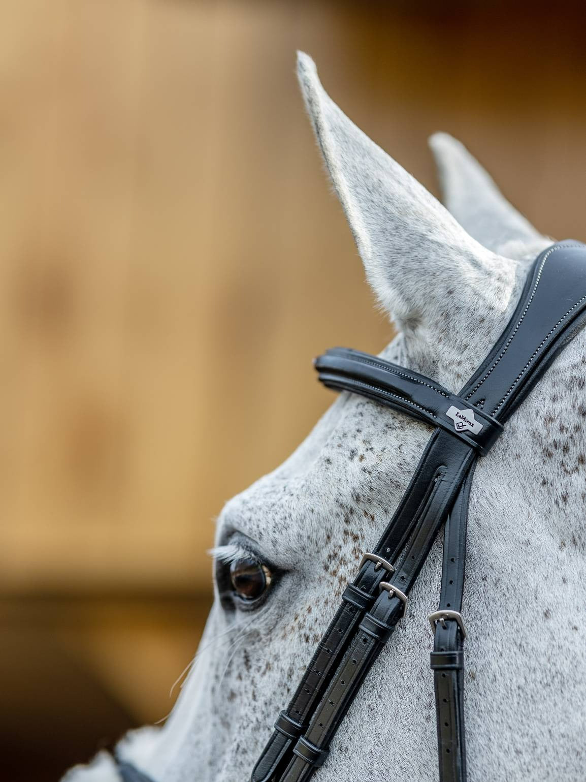 LeMieux Kudos Grackle Bridle