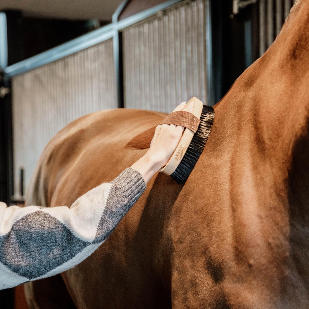 Kentucky Horsewear Overall Brush Hard