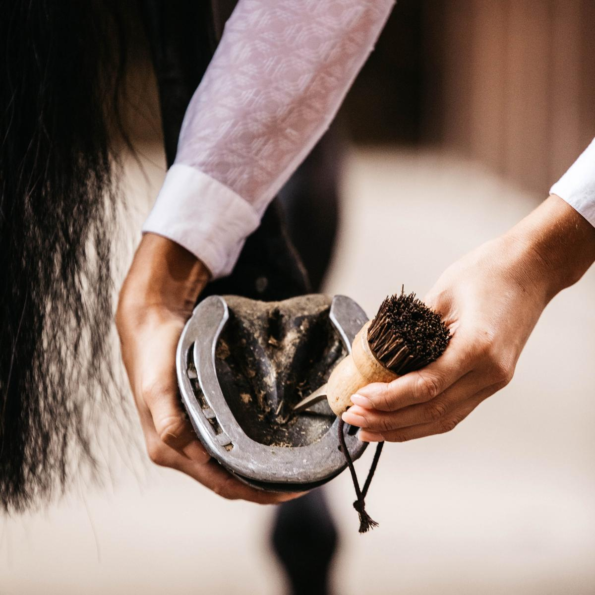 Kentucky Horsewear Hoof Pick Small