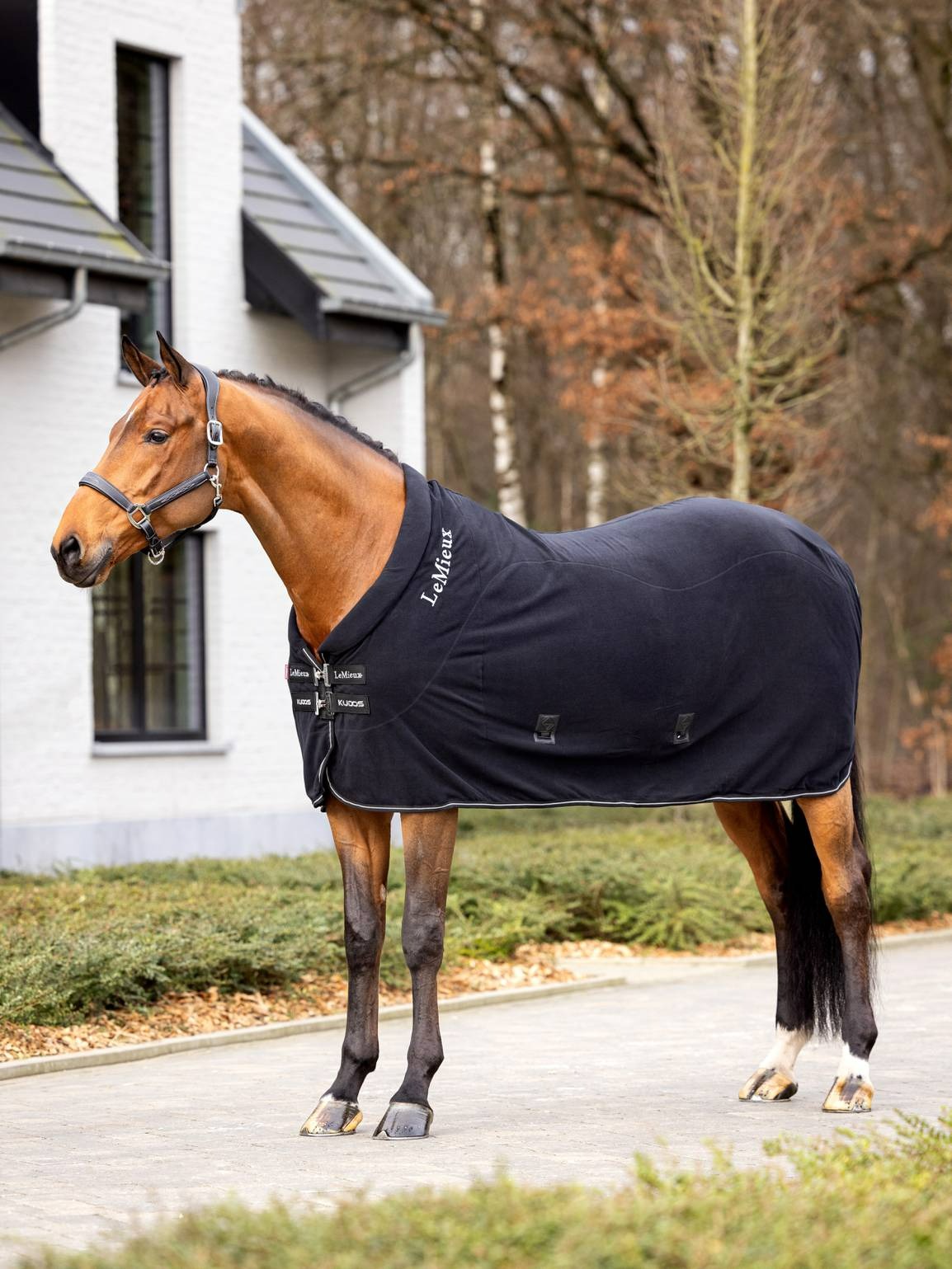 LeMieux Kudos Fleece Cooler Rug