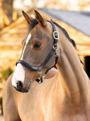 Lemieux Leather Grooming Headcollar