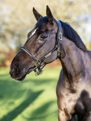Lemieux Rope Control Headcollar