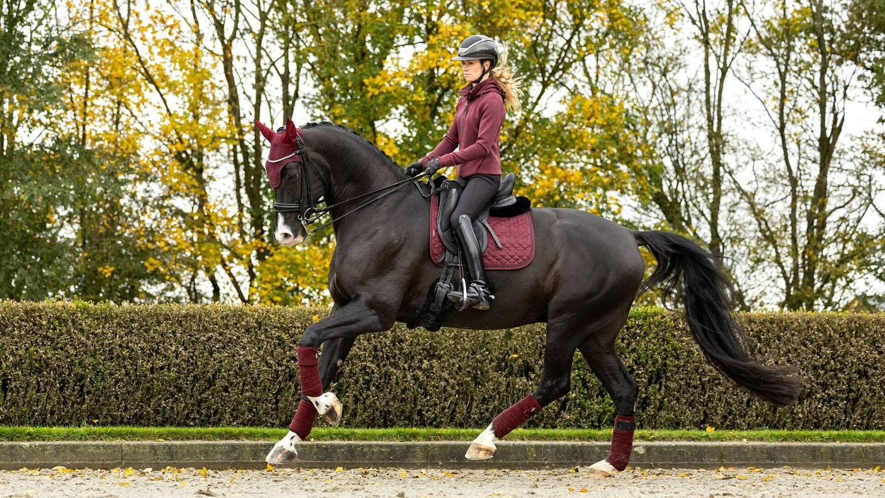 Lemieux Crystal Suede Dressage Pad