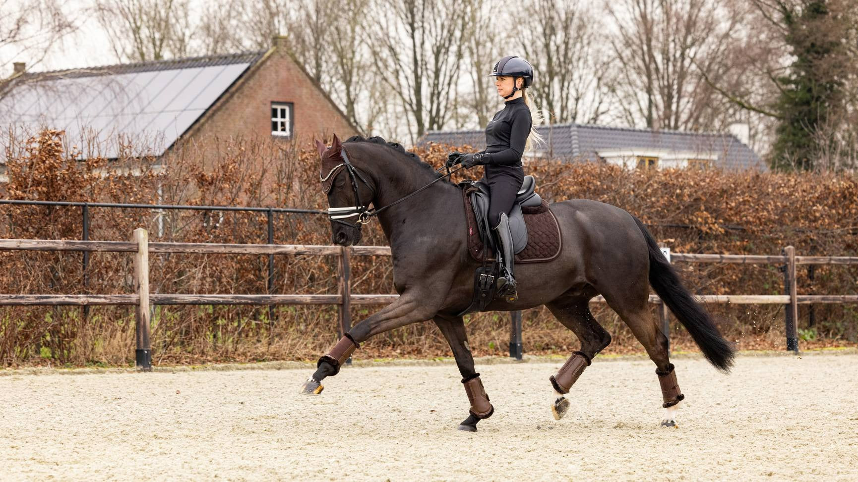 Lemieux Crystal Suede Dressage Pad