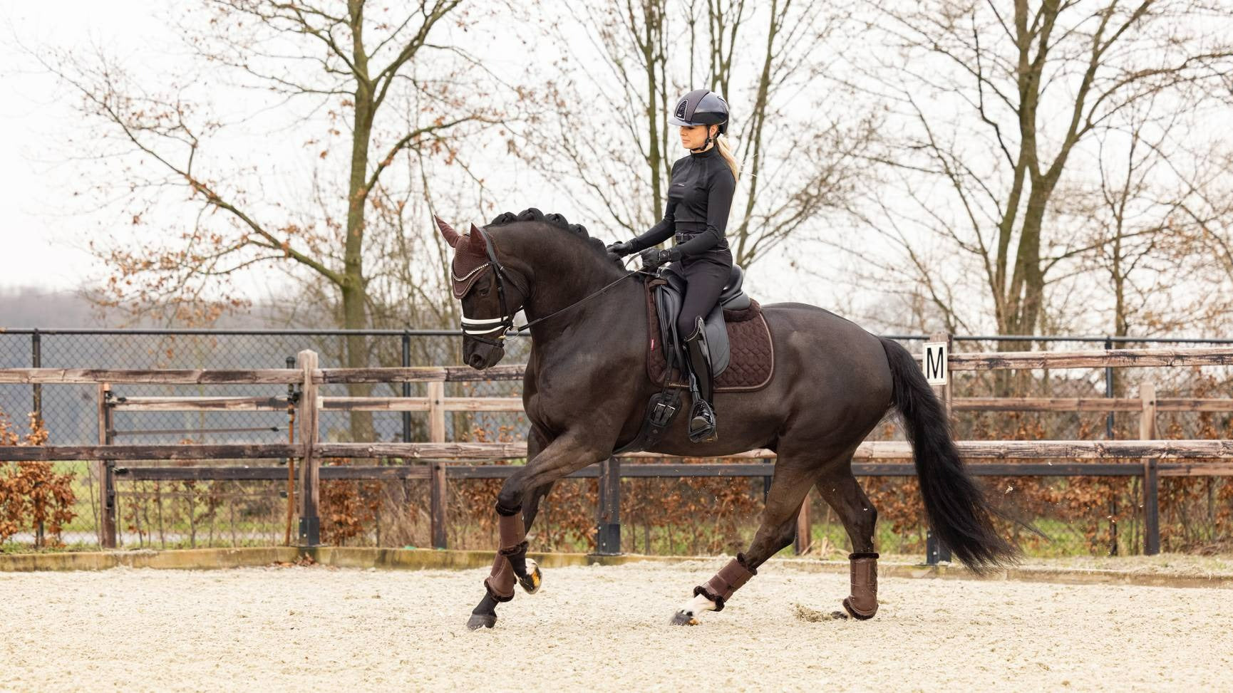 Lemieux Crystal Suede Dressage Pad