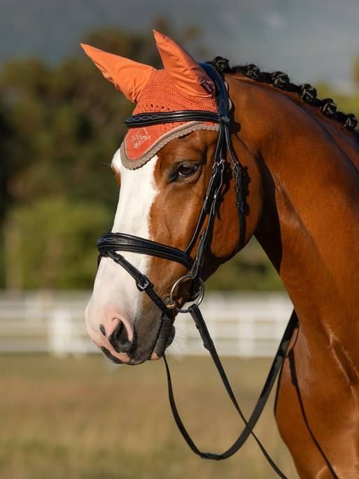 Lemieux Classic Fly Hoods