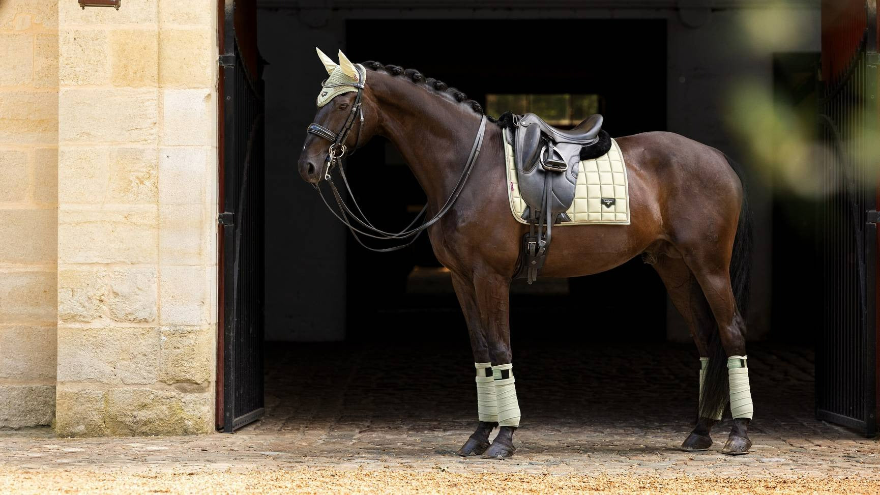 LeMieux Loire Polo Bandages