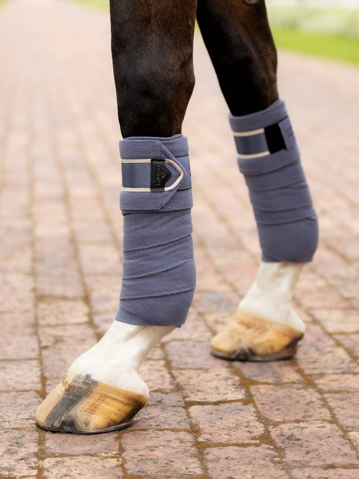 LeMieux Loire Polo Bandages