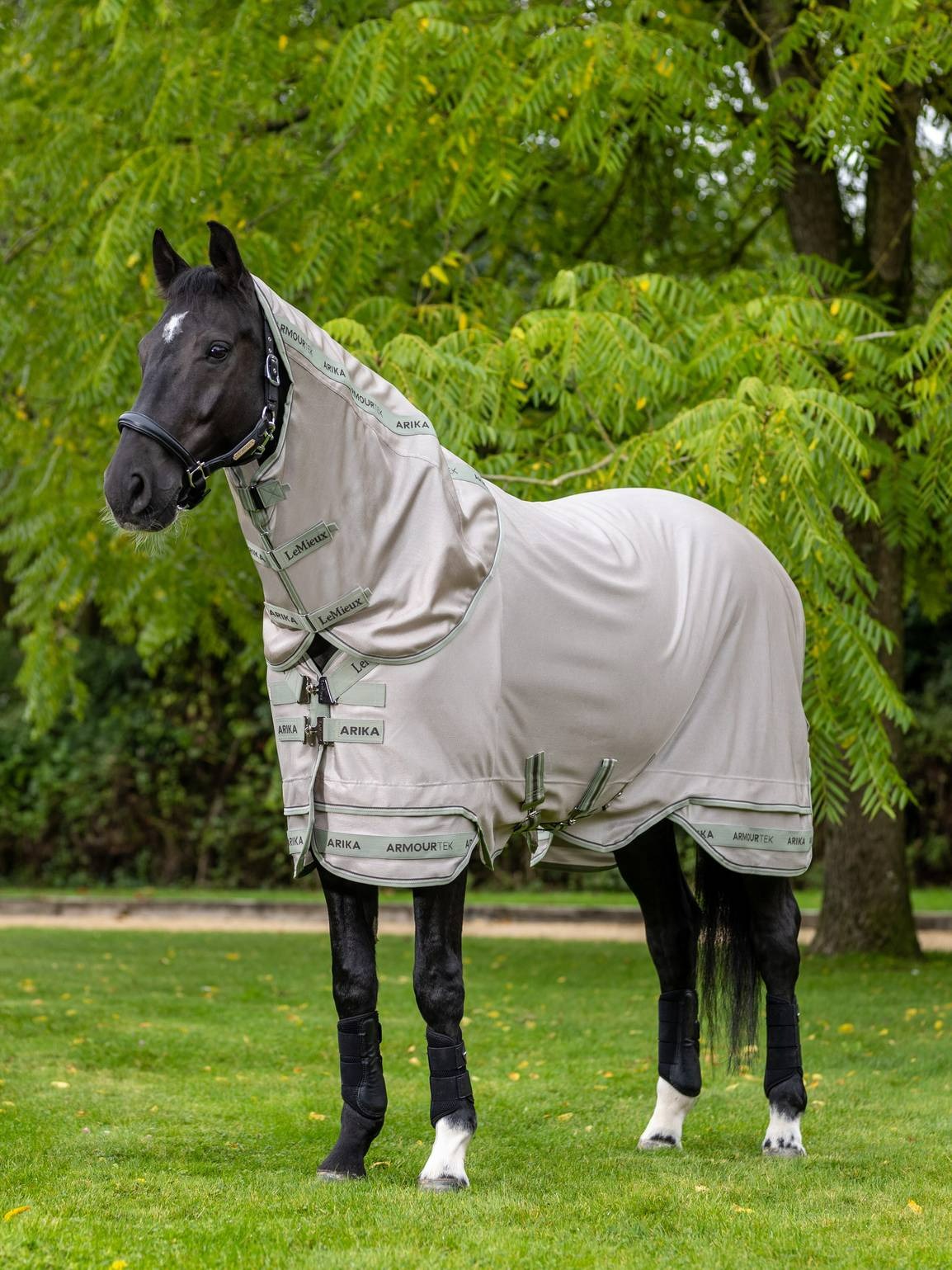 LeMieux Arika Armour-Tek Fly Rug