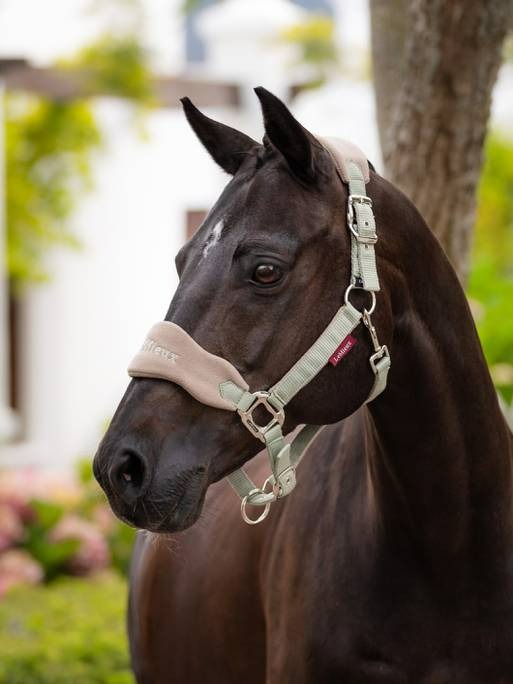 Lemieux Vogue Headcollar & Leadrope