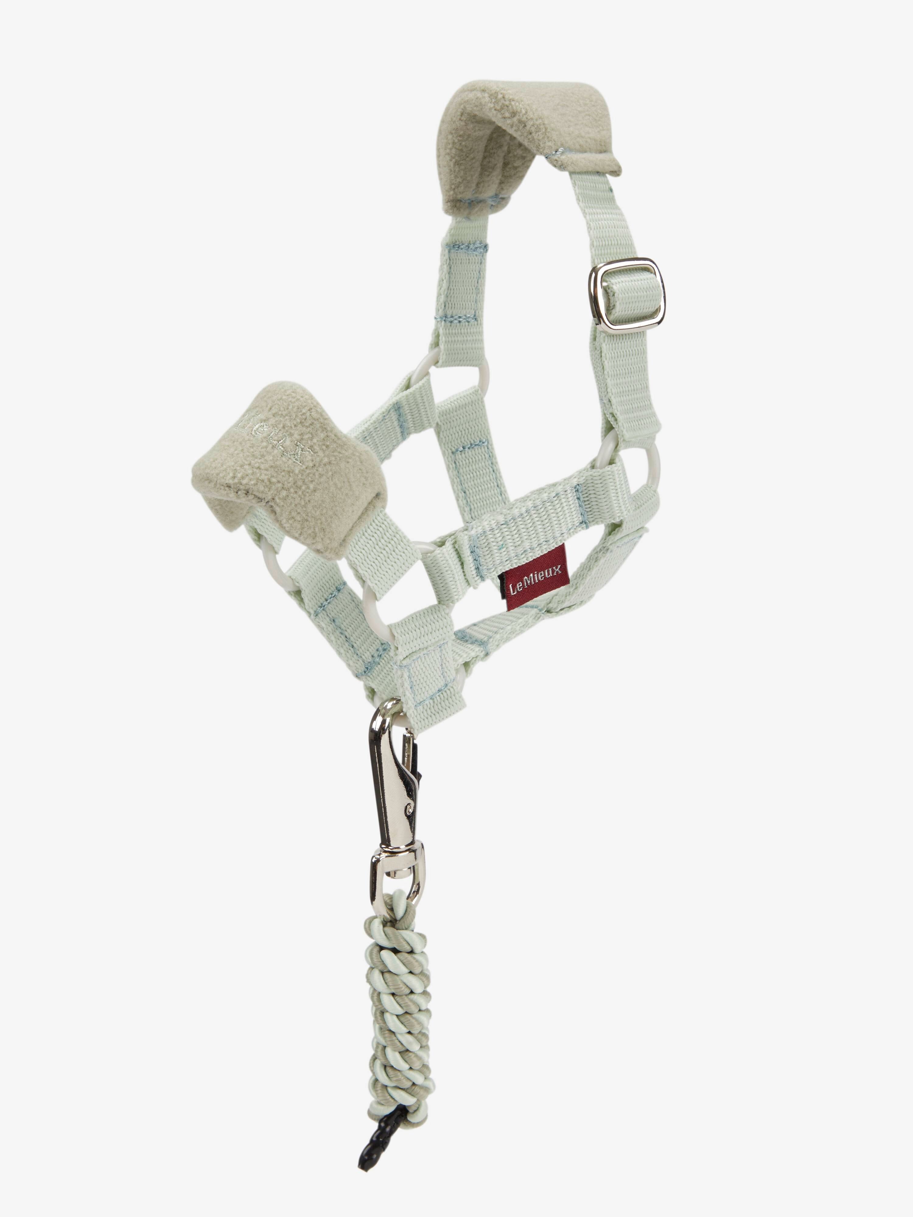 LeMieux Toy Pony Vogue Headcollar