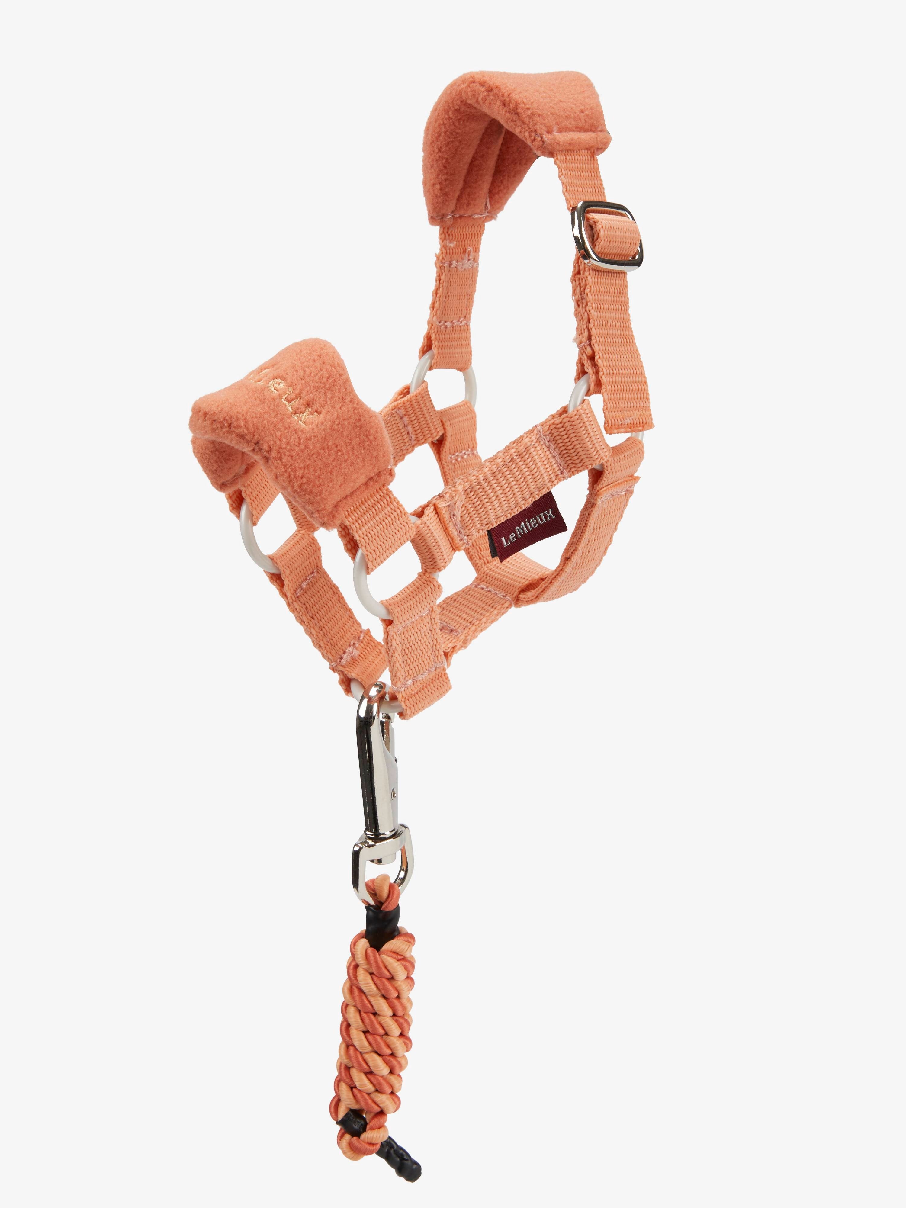 LeMieux Toy Pony Vogue Headcollar