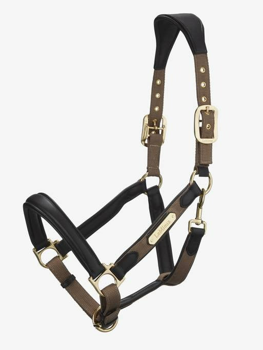 Lemieux Capella Headcollar