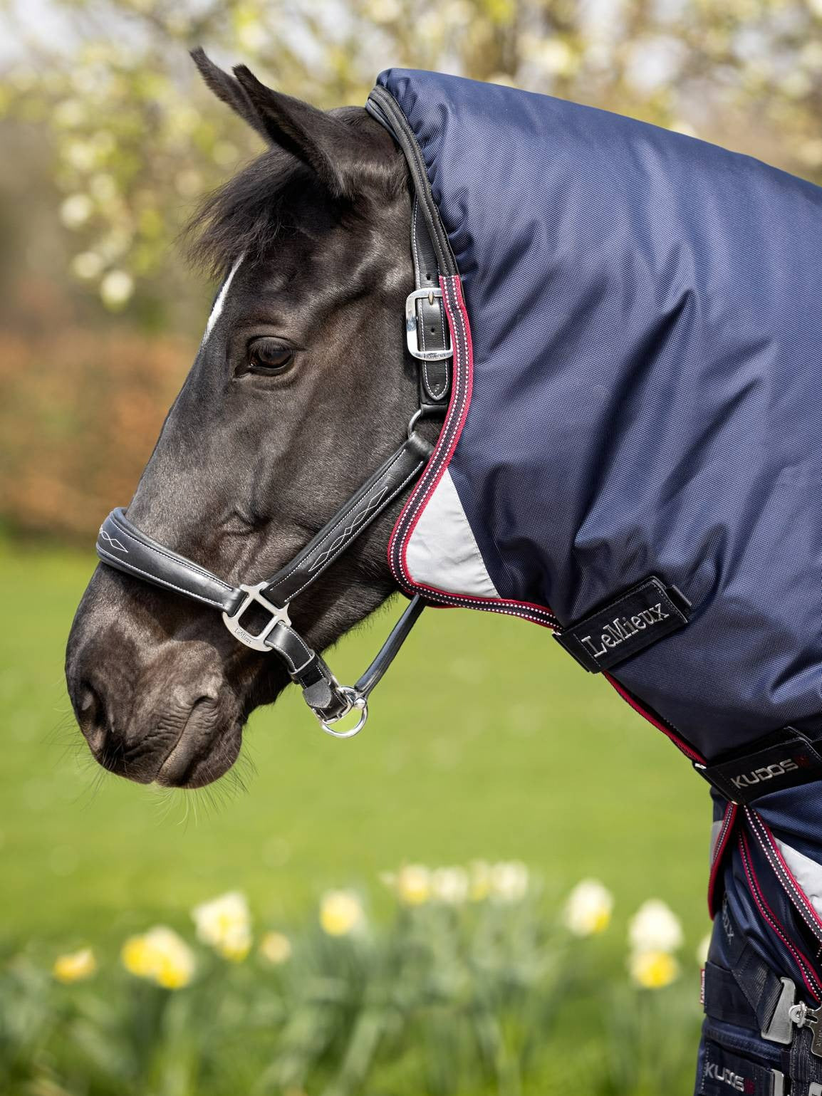 LeMieux Kudos Thermo Layer Turnout Rug 100g Navy