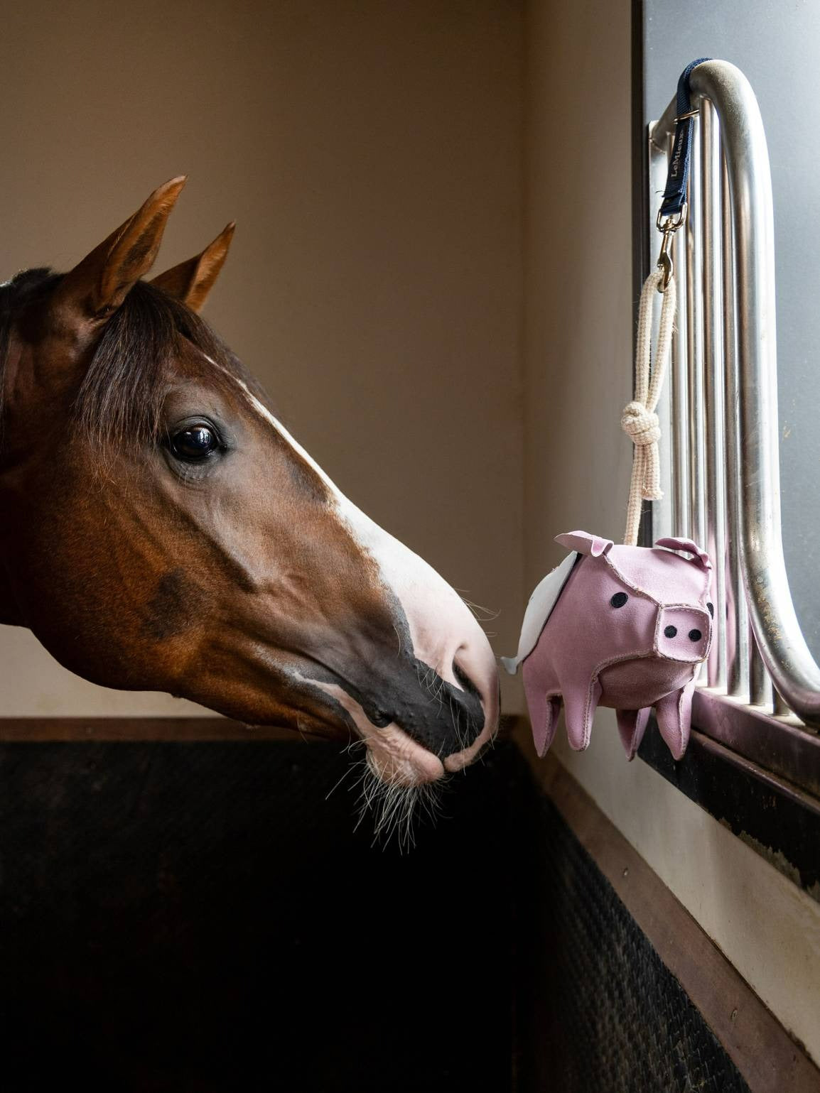 LeMieux Horse Toy Flying Pig