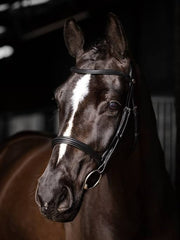 LeMieux Arika Cavesson Bridle