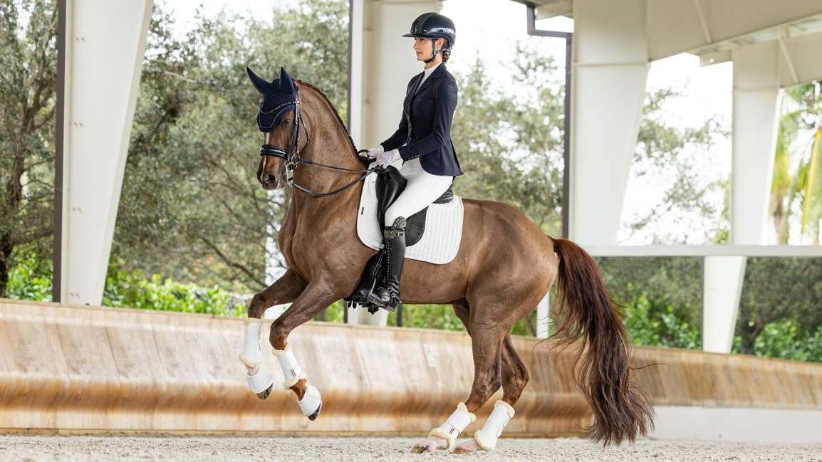 Lemieux ProSorb Plain 2 Pocket Dressage Square