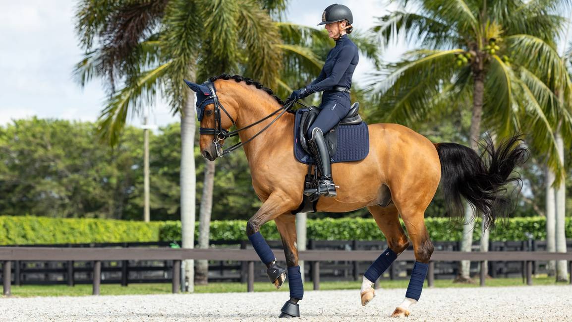 Lemieux ProSorb Plain 2 Pocket Dressage Square
