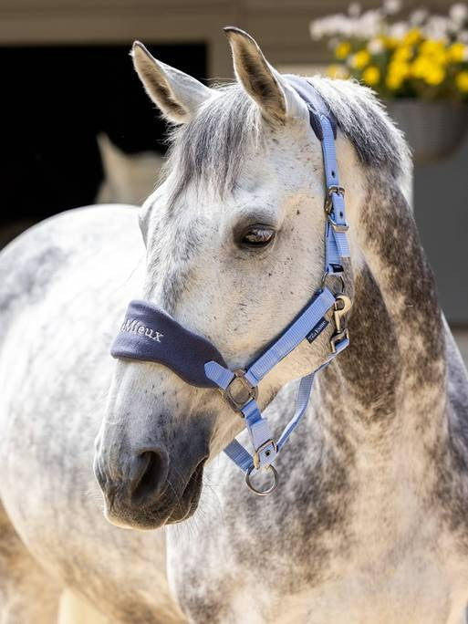 Lemieux Vogue Headcollar & Leadrope