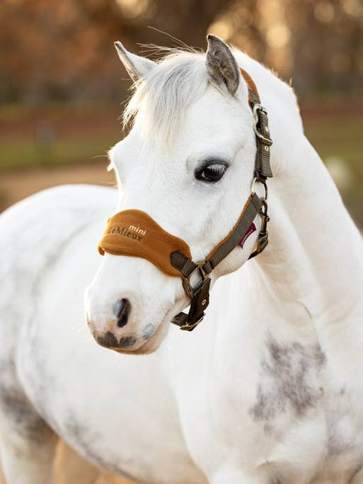 Lemieux Mini Vogue Headcollar & Leadrope