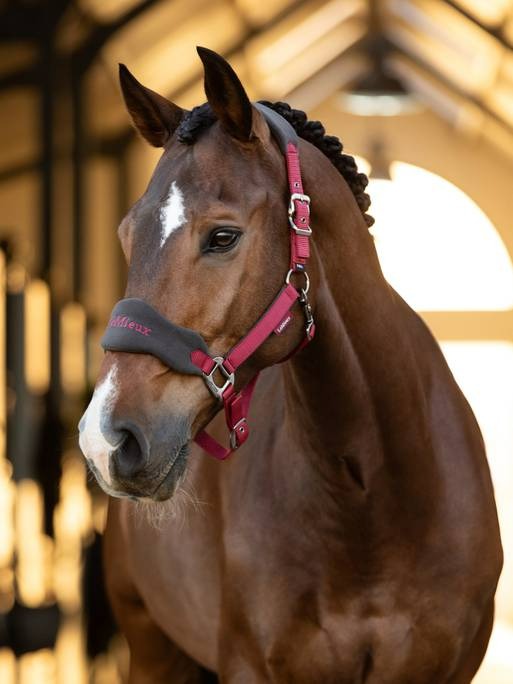 Lemieux Vogue Headcollar & Leadrope