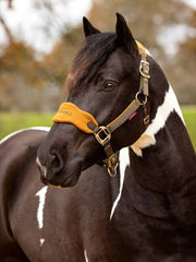 Lemieux Vogue Headcollar & Leadrope