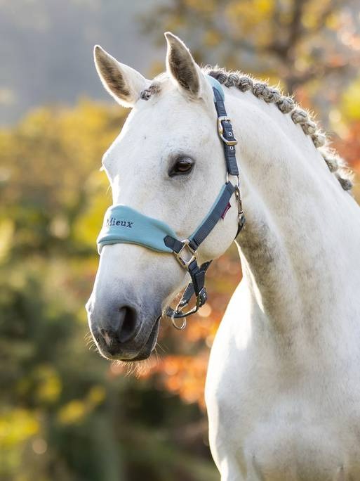 Lemieux Vogue Headcollar & Leadrope