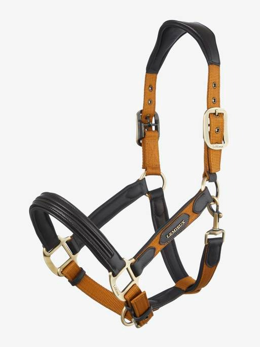 Lemieux Capella Headcollar