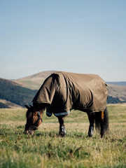 LeMieux Arika Ripstop 50g Turnout Rug Alpine