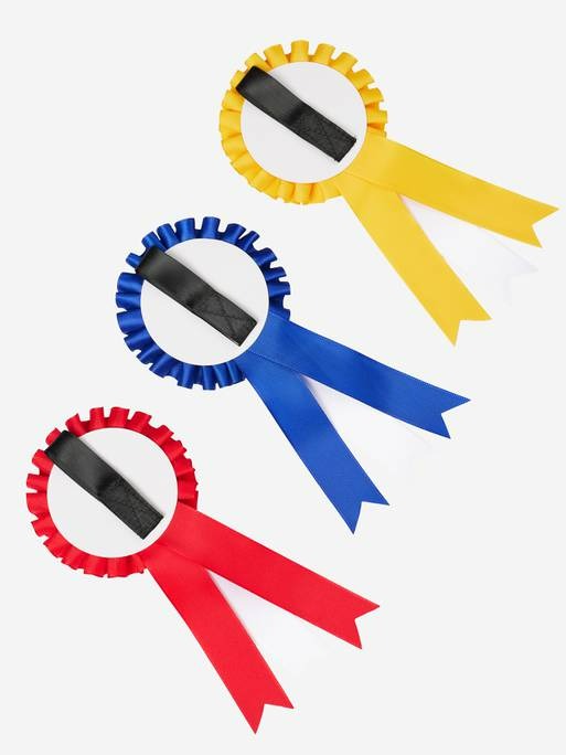 LeMieux Hobby Horse Rosette Pack Multi