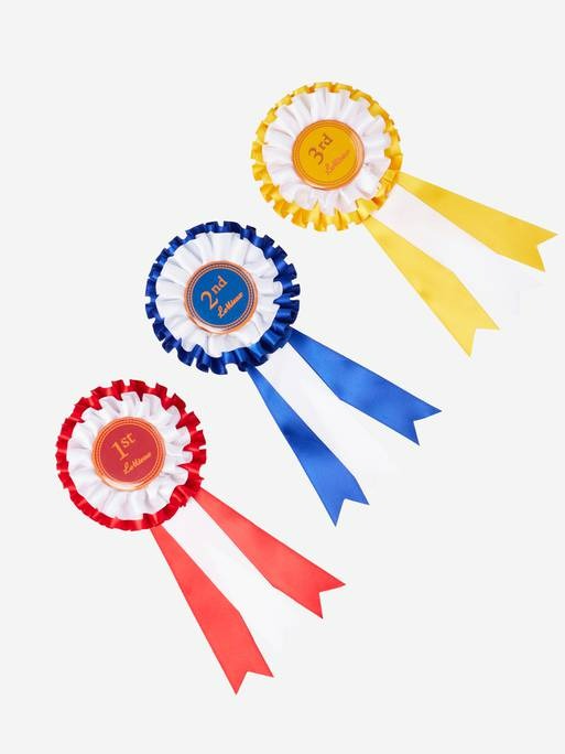 LeMieux Hobby Horse Rosette Pack Multi