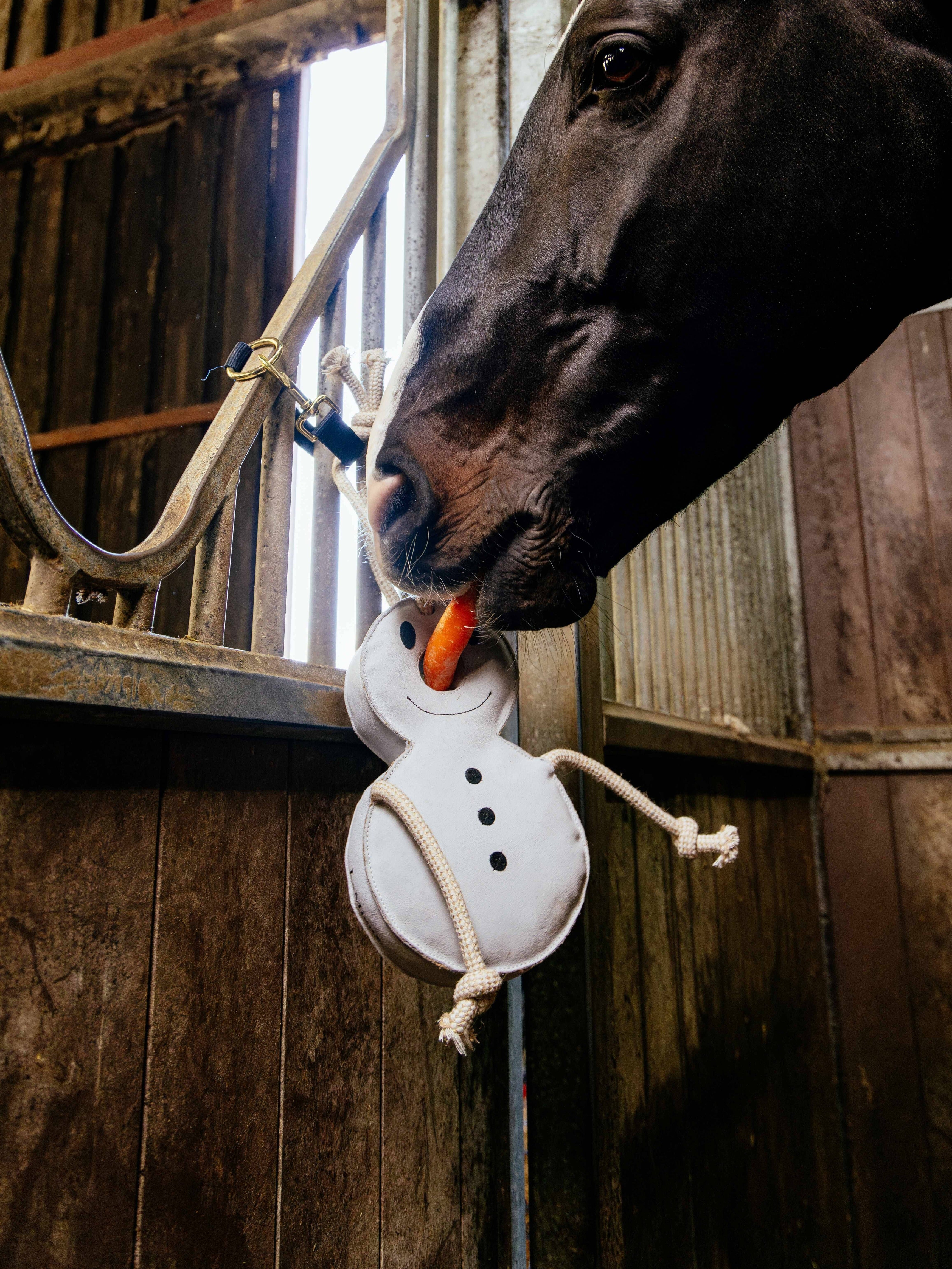 LeMieux Horse Toy Snowman