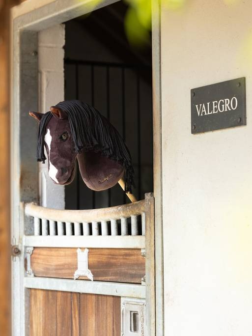 LeMieux Hobby Horse Valegro