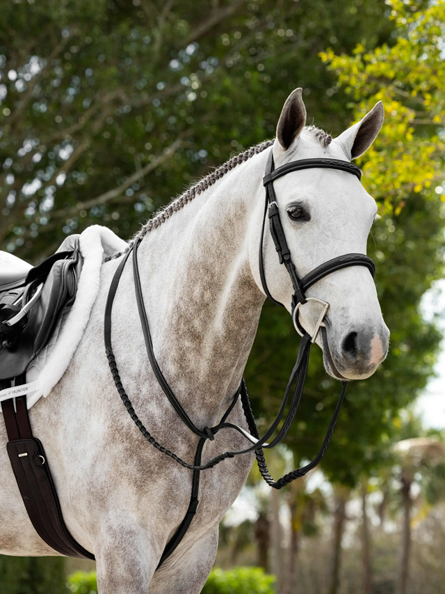 LeMieux Hunter Standing Martingale