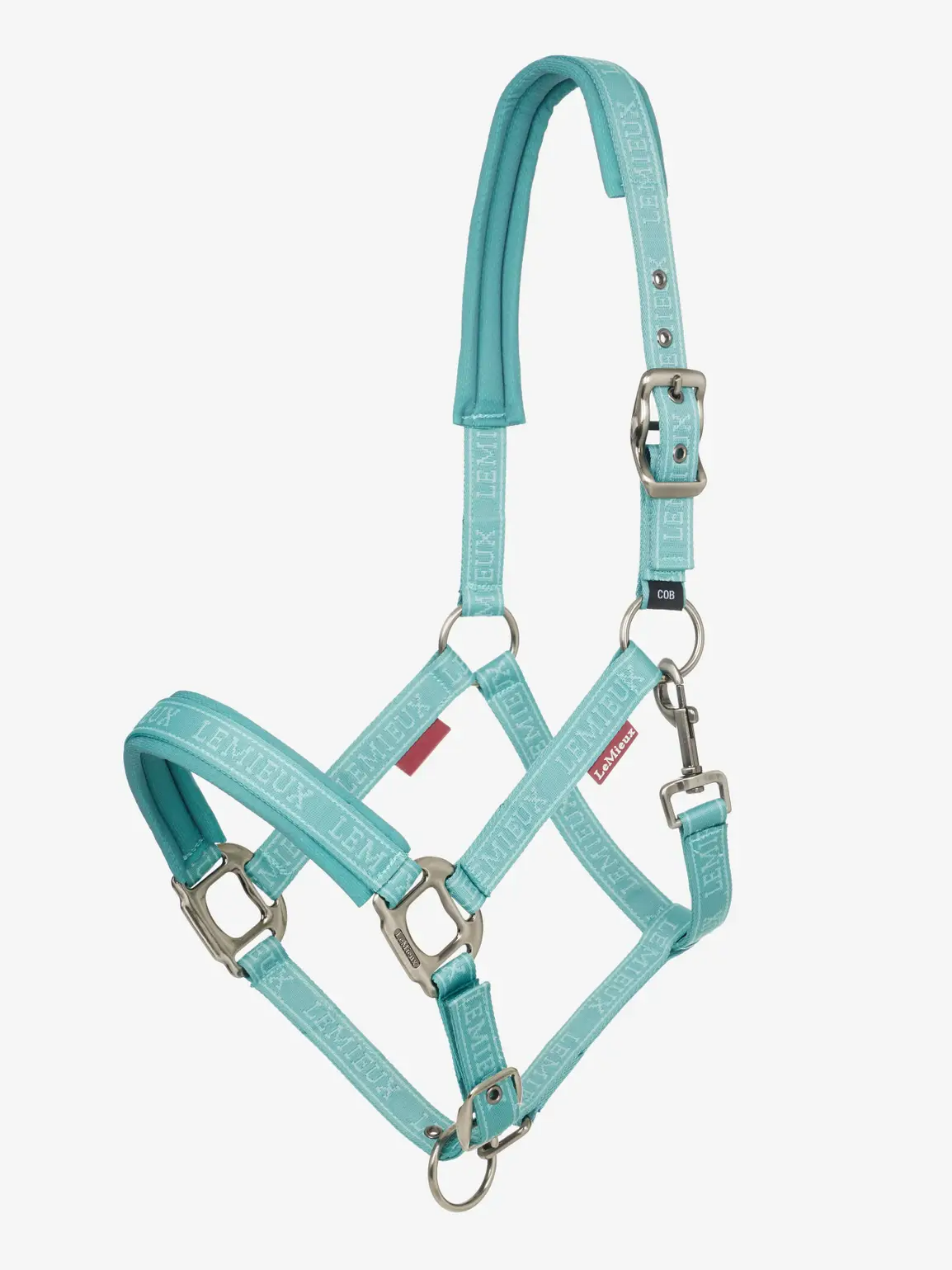 Lemieux Logo Headcollar SS25