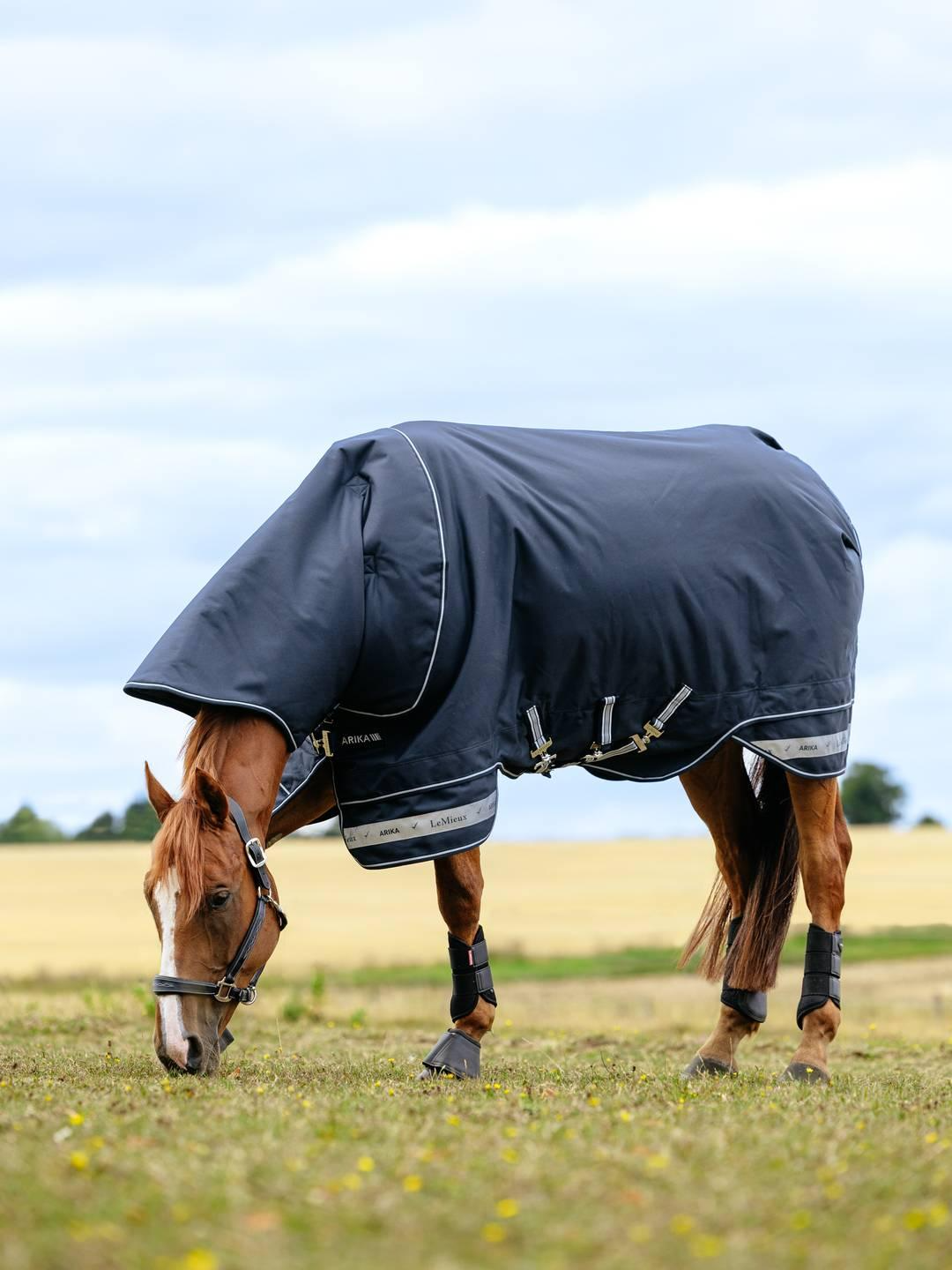 LeMieux Arika Storm-Tek Rug 50g