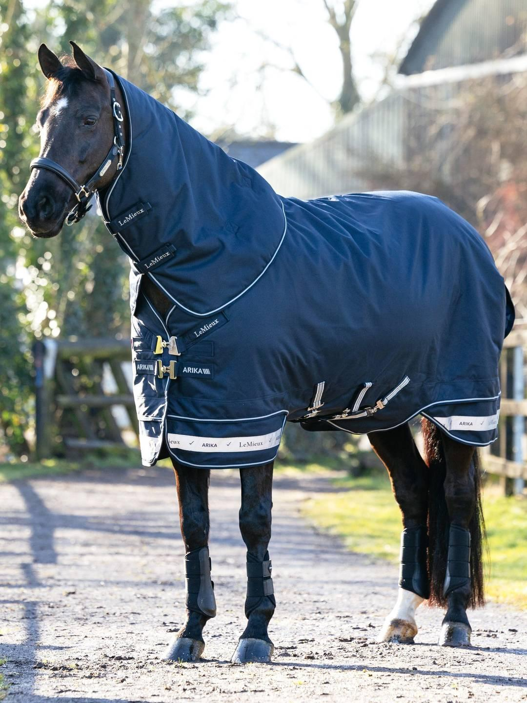 LeMieux Arika Storm-Tek Rug 100g